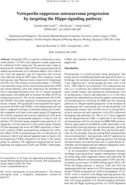 Verteporfin suppresses osteosarcoma progression by targeting the Hippo signaling pathway