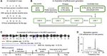 CONSTRAINED STRUCTURE OF ANCIENT CHINESE POETRY FACILITATES SPEECH CONTENT GROUPING - MPG.PURE
