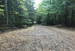 Bureau of Wildlife Cortland, NY 13045 December 2020 - Access and Public Use Plan for Tioughnioga Wildlife Management A rea