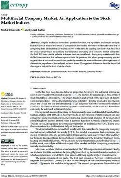 Multifractal Company Market: An Application to the Stock Market Indices