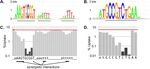 Natural Competence and the Evolution of DNA Uptake Specificity