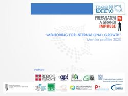 "MENTORING FOR INTERNATIONAL GROWTH" - Mentor profiles 2020 Partners - Camera di ...
