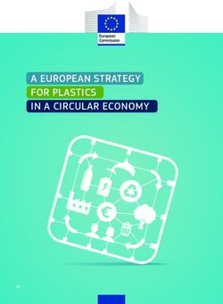 A EUROPEAN STRATEGY FOR PLASTICS IN A CIRCULAR ECONOMY - EN