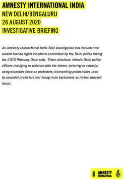 AMNESTY INTERNATIONAL INDIA - NEW DELHI/BENGALURU 28 AUGUST 2020 INVESTIGATIVE BRIEFING