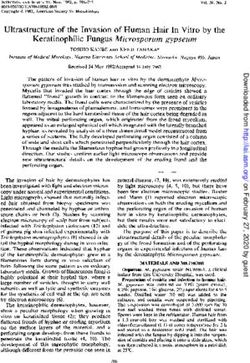 Ultrastructure of the Invasion of Human Hair In Vitro by