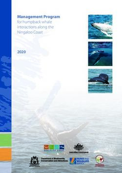 Management Program for humpback whale interactions along the Ningaloo Coast 2020