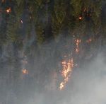 Bobcat Gulch Fire CO-ARF-23777 - Final Summary, Fire Weather Fire Behavior - Gary Bennett, Incident Meteorologist