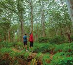 Driving in Western Australia - A guide to safe stopping places