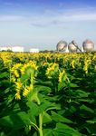 2020 CALL FOR PROPOSALS - BBI JU