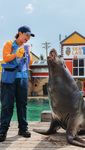 SAFETY & ACCESSIBILITY GUIDE - seaworld.com.au - Sea World