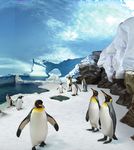 SAFETY & ACCESSIBILITY GUIDE - seaworld.com.au - Sea World