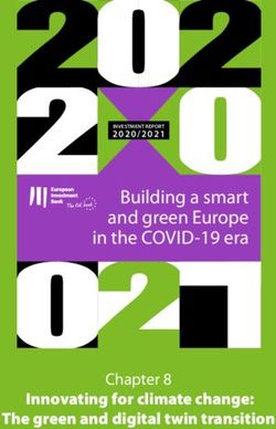 Innovating for climate change: The green and digital twin transition