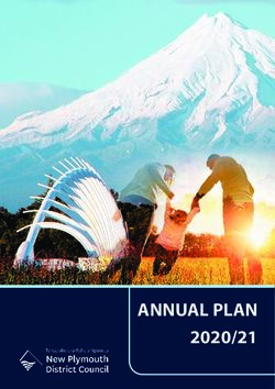 ANNUAL PLAN 2020/21 - New Plymouth District Council