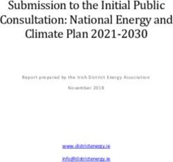 Submission to the Initial Public Consultation: National Energy and Climate Plan 2021-2030 - www.districtenergy.ie