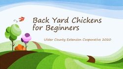 Back Yard Chickens for Beginners - Ulster County Extension Cooperative 2020 - Cornell Cooperative Extension of ...