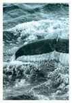 THE great CHALLENGE OF THE ARCTIC - National Roadmap for the Arctic - France Diplomatie