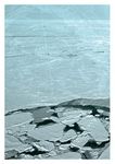 THE great CHALLENGE OF THE ARCTIC - National Roadmap for the Arctic - France Diplomatie