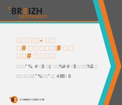 EBREIZH CONNECTION PROGRAM - DEPLOYMENT RECOMMENDATION #DTTT GLOBAL, Helsinki ebreizhconnexion.bzh - Digital Tourism Think Tank