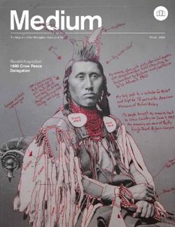 Medium Recent Acquisition 1880 Crow Peace Delegation