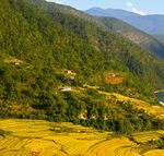 Calendar Events 2021 of - Tourism Council of Bhutan