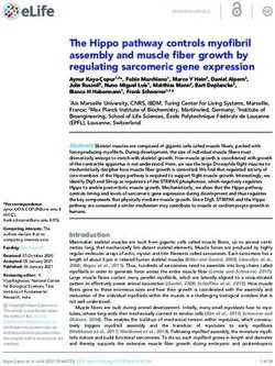 The Hippo pathway controls myofibril assembly and muscle fiber growth by regulating sarcomeric gene expression - eLife