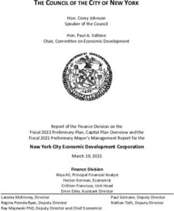 THE COUNCIL OF THE CITY OF NEW YORK - THE ...