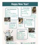 The Publication for the Friends of Canine Partners for Life - Spring 2021