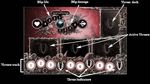 RULEBOOK DISCLAIMER: This is a BETA. Some rules may change - Sheol Board Game