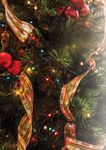 Your Holiday... Your Choice - 2020 www.tlh.co.uk - January 2020 - TLH ...