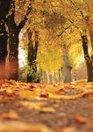 Your Holiday... Your Choice - 2020 www.tlh.co.uk - January 2020 - TLH ...