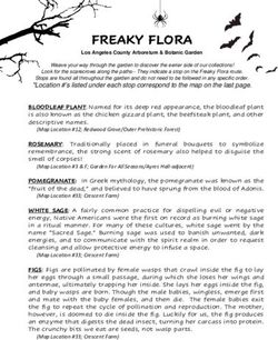 FREAKY FLORA - Los Angeles County Arboretum and ...