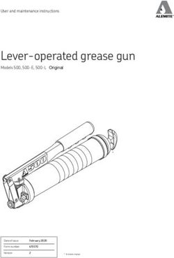 Lever-operated grease gun - User and maintenance instructions Models 500, 500-E, 500-L - SKF