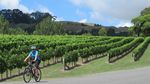 CURATED CYCLING TOURS - Pedaltours
