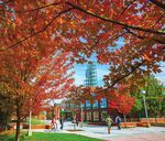 TRANSFER TO - Binghamton University