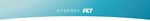 Synergy ANALYZE Installation and Configuration Guide - Synergy ANALYZE 20.09.561 June 2020