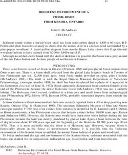 HOLOCENE ENVIRONMENT OF A FOSSIL BISON FROM KENORA, ONTARIO