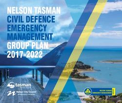 NELSON TASMAN CIVIL DEFENCE EMERGENCY MANAGEMENT GROUP PLAN 2017-2022