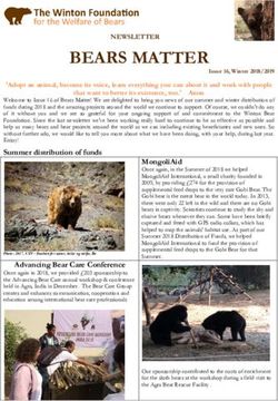 BEARS MATTER - The Winton Foundation for the Welfare of Bears
