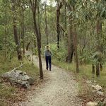 Outdoor Recreation Management Strategy - for Brisbane's Natural Areas 2011-2021 - Amazon AWS