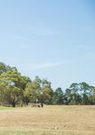 AN EXCITING COMMUNITY IN THE HEART OF BEAUTIFUL WINCHELSEA - Ultimate slice of country living Premium lifestyle lots a minimum 2000m2