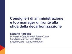 Consiglieri di amministrazione e top manager di fronte alla sfida della decarbonizzazione - Stefano Pareglio