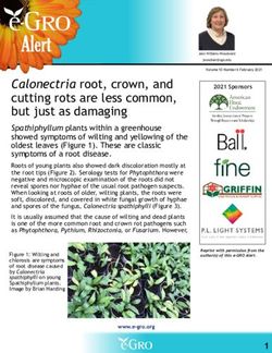 Calonectria root, crown, and cutting rots are less common, but just as damaging