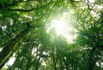 DRIVING INNOVATION, SHAPING A SUSTAINABLE FUTURE - FOR GROWTH THAT MATTERS APRIL 2025 - July 2022