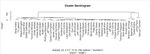 Similarity Analysis to aid decision making on NBA Draft