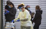 Scary' Sydney virus cluster blamed on delta variant grows