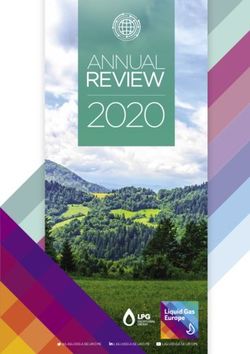 2020 REVIEW ANNUAL EUROPEAN LPG ASSOCIATION - Liquid Gas Europe