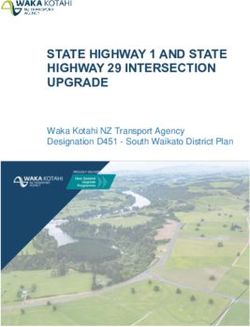 STATE HIGHWAY 1 AND STATE HIGHWAY 29 INTERSECTION UPGRADE - Waka Kotahi NZ Transport Agency Designation D451 - South Waikato District Plan - Waka ...