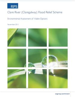 Clare River (Claregalway) Flood Relief Scheme - Environmental Assessment of Viable Options