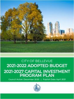2021-2022 ADOPTED BUDGET 2021-2027 CAPITAL INVESTMENT PROGRAM PLAN - CITY OF BELLEVUE