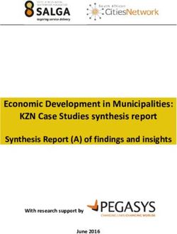 Economic Development in Municipalities: KZN Case Studies synthesis report Synthesis Report (A) of findings and insights - SA Cities